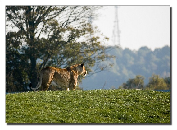 IMG_1881 5D